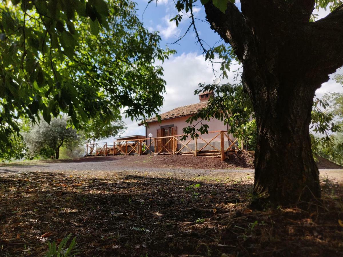 Mount Etna Chalet Maletto Eksteriør billede